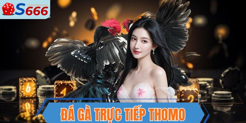 đá gà trực tiếp thomo